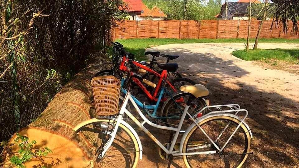 Miodowy Zakatek Caloroczne Domki I Pokoje Przy Suntago, Deepspot, Pyszne Sniadania, Grill, Ognisko Mszczonów Esterno foto