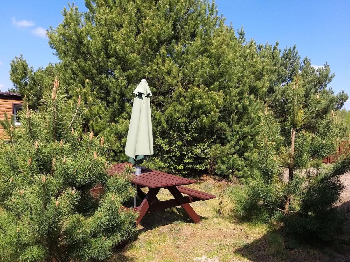 Miodowy Zakatek Caloroczne Domki I Pokoje Przy Suntago, Deepspot, Pyszne Sniadania, Grill, Ognisko Mszczonów Esterno foto