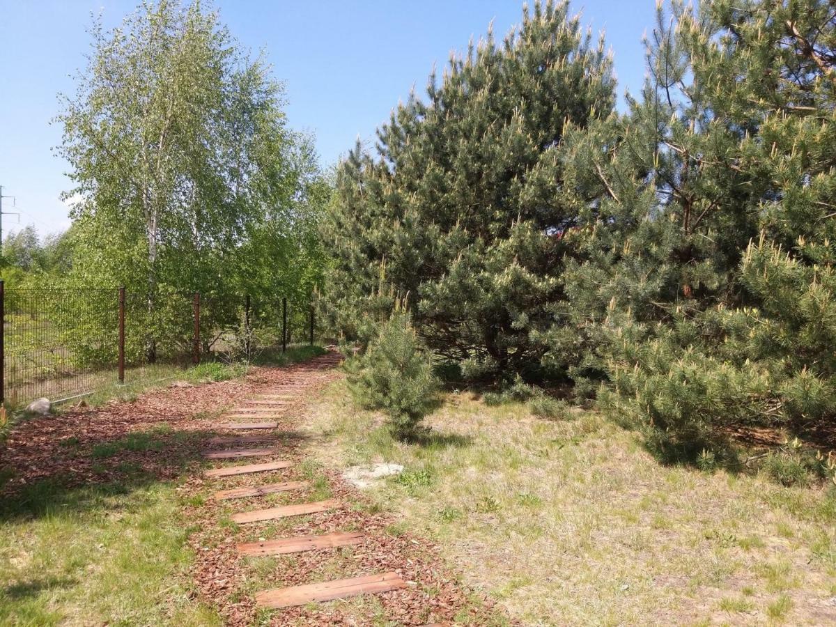 Miodowy Zakatek Caloroczne Domki I Pokoje Przy Suntago, Deepspot, Pyszne Sniadania, Grill, Ognisko Mszczonów Esterno foto